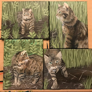  four custom acrylic cat portraits