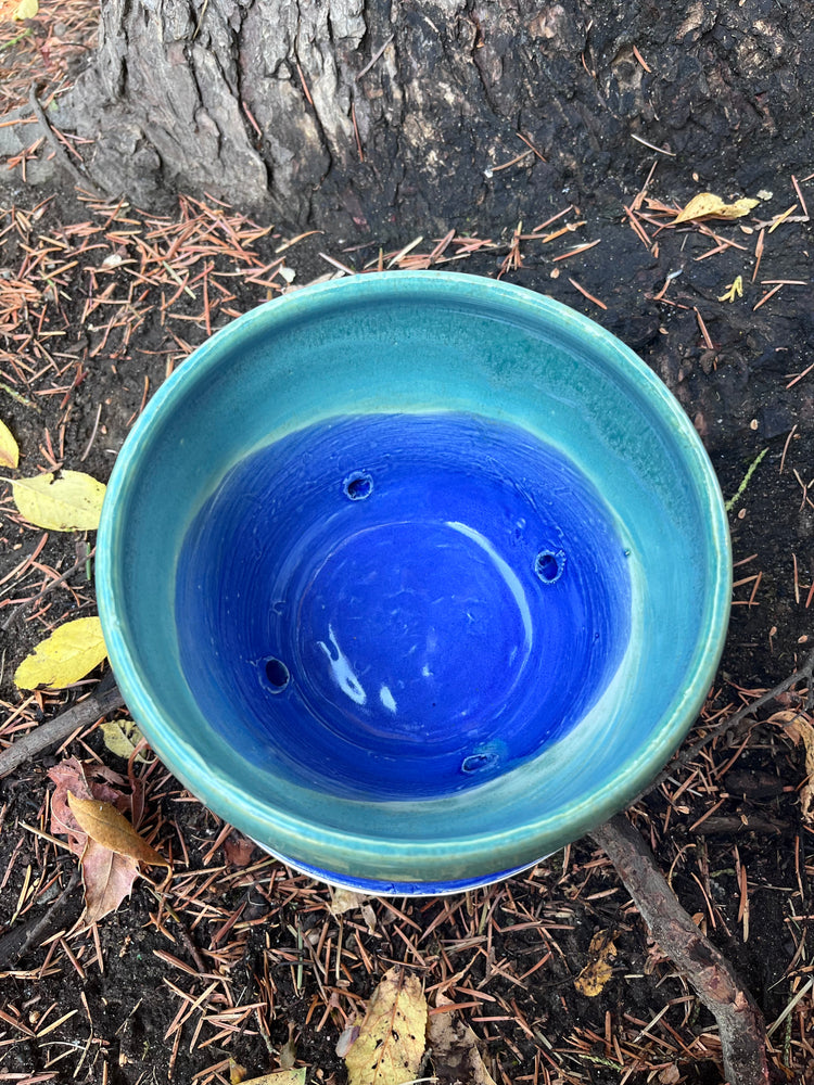 Blue and green gradient planter