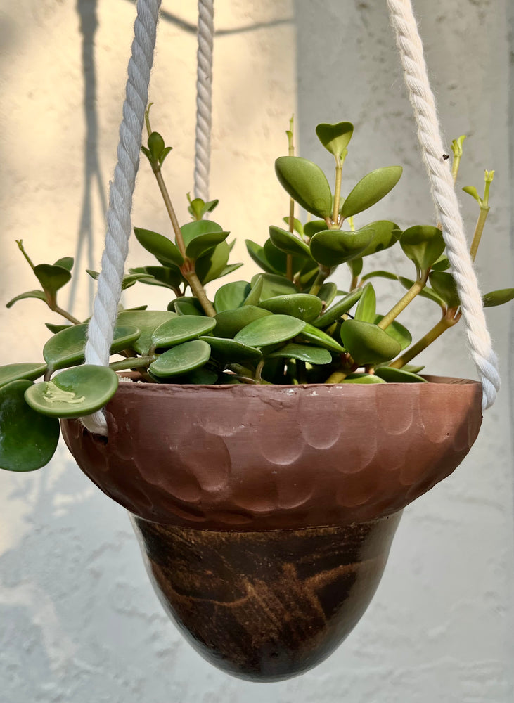 ceramic acorn planter