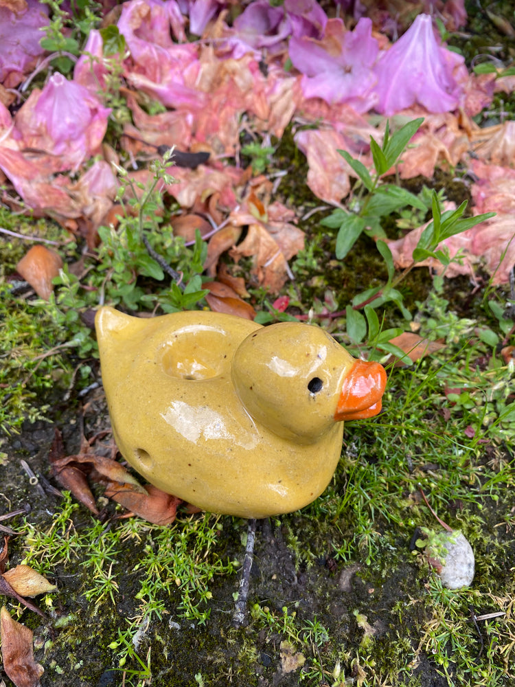 
            
                Load image into Gallery viewer, Speckled rubber duck pipe
            
        